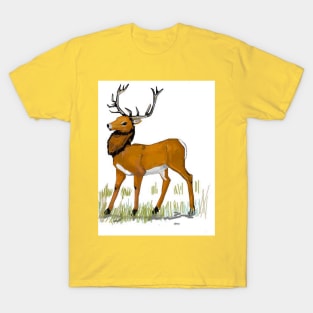 Stately Hart Deer T-Shirt